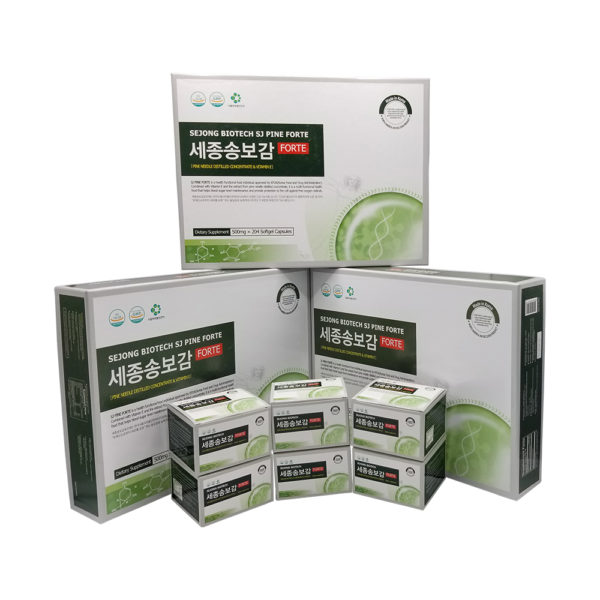 세종송보감 (SJ PINE FORTE) 2Box +1